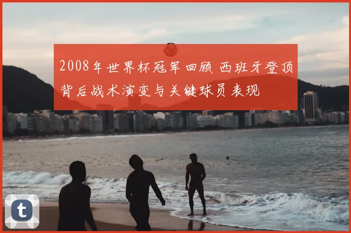 2008年世界杯冠军回顾 西班牙登顶背后战术演变与关键球员表现