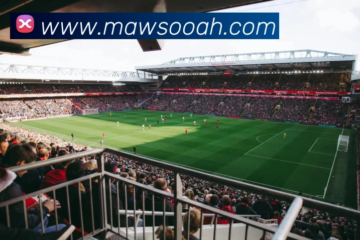 云开体育app官网体验版发展历程